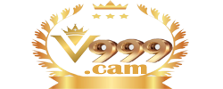 V999.CAM