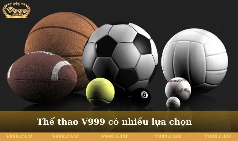 the thao v999 3 11zon Thể thao V999 có nhiều sự lựa chọn